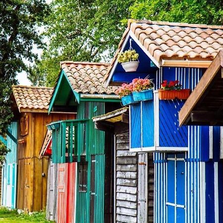 Au Coeur Du Bassin D'Arcachon,Tres Bel Appartement Avec Terrasse Audenge Bagian luar foto