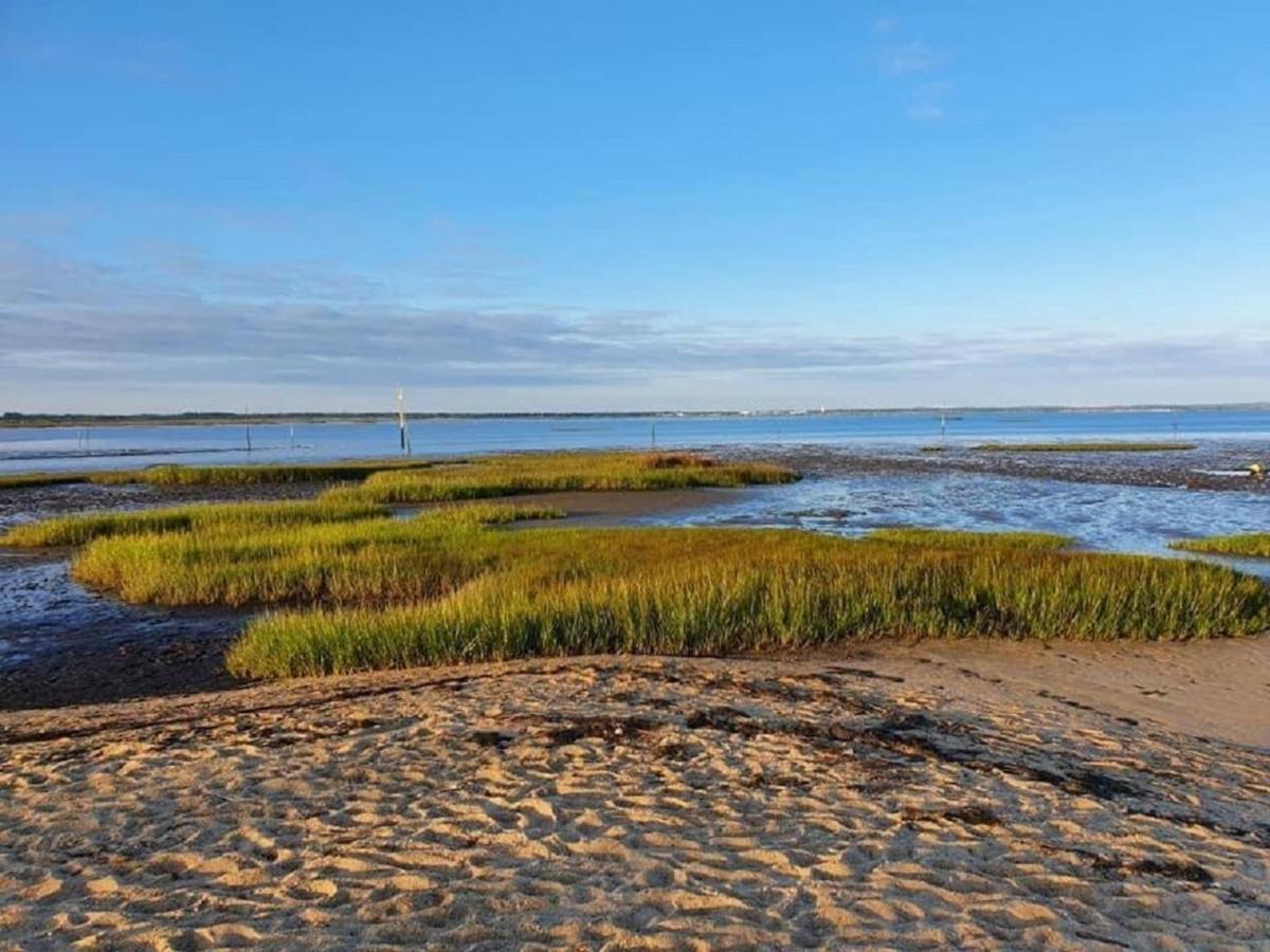 Au Coeur Du Bassin D'Arcachon,Tres Bel Appartement Avec Terrasse Audenge Bagian luar foto