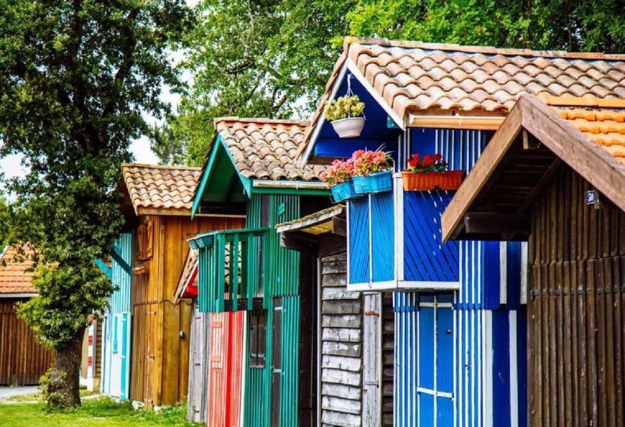 Au Coeur Du Bassin D'Arcachon,Tres Bel Appartement Avec Terrasse Audenge Bagian luar foto