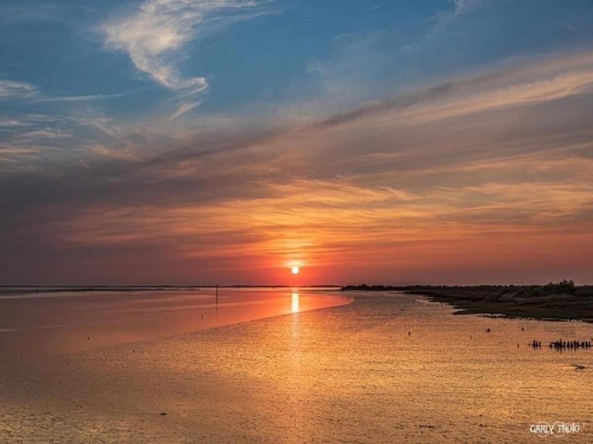 Au Coeur Du Bassin D'Arcachon,Tres Bel Appartement Avec Terrasse Audenge Bagian luar foto