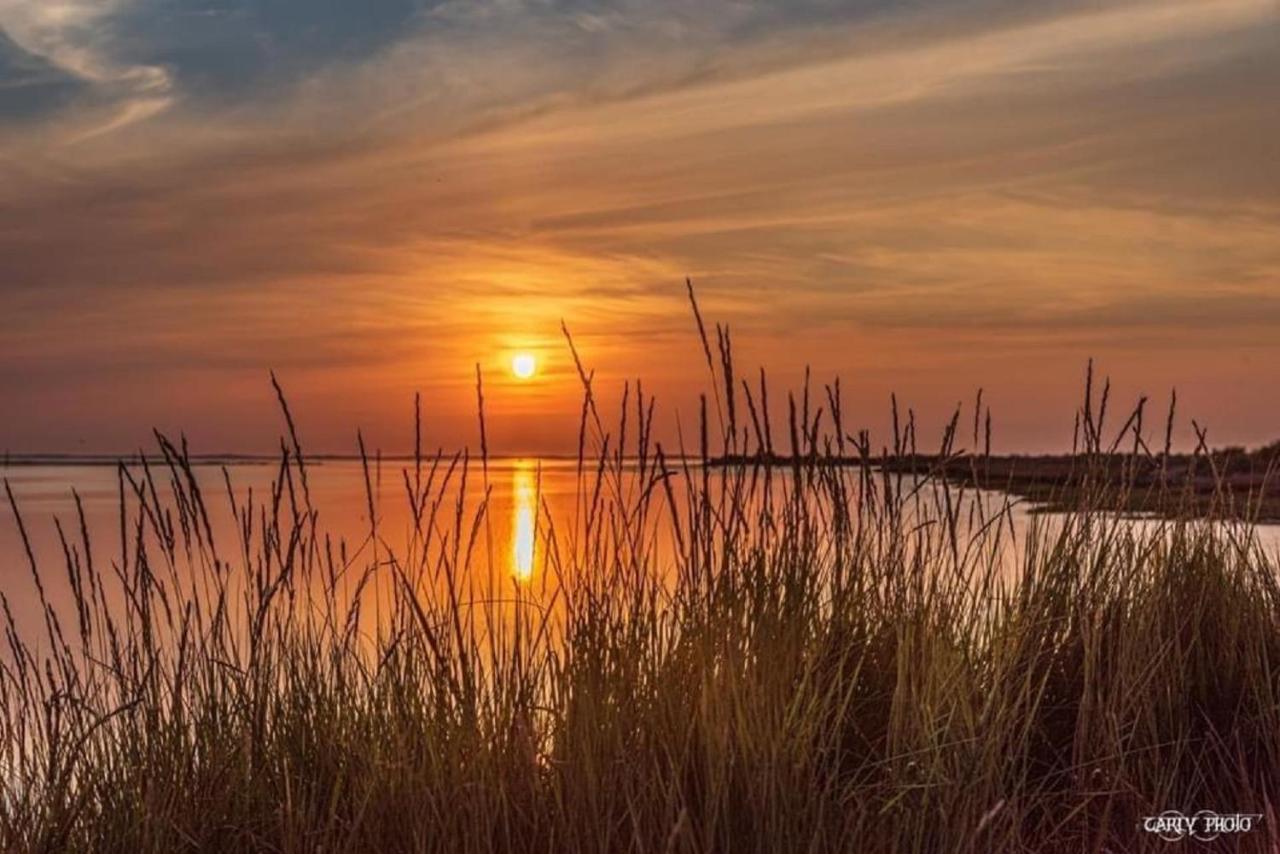 Au Coeur Du Bassin D'Arcachon,Tres Bel Appartement Avec Terrasse Audenge Bagian luar foto