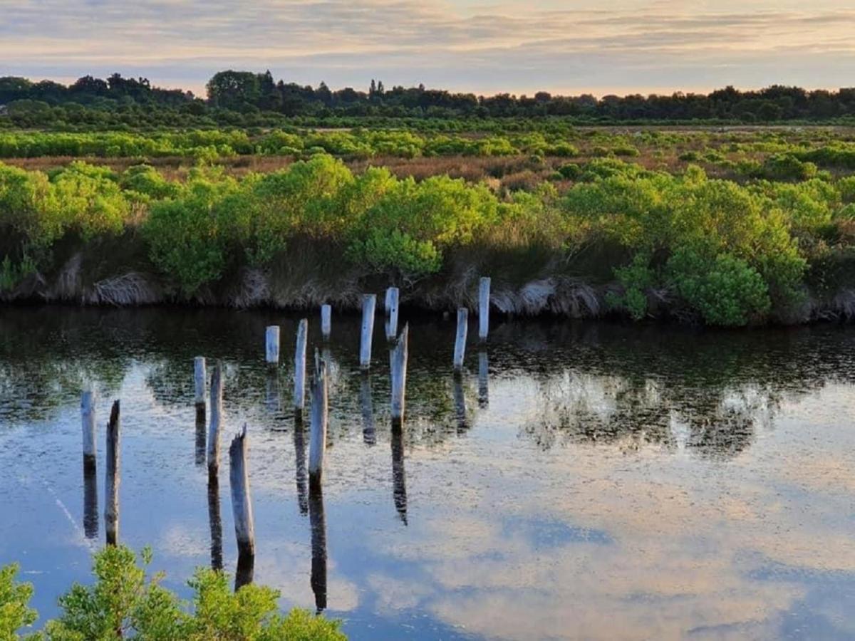 Au Coeur Du Bassin D'Arcachon,Tres Bel Appartement Avec Terrasse Audenge Bagian luar foto