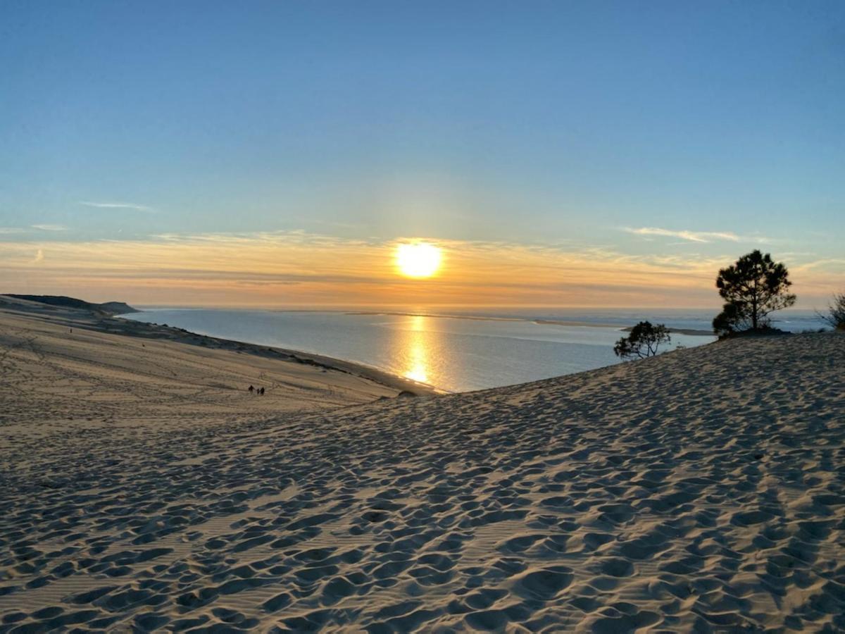 Au Coeur Du Bassin D'Arcachon,Tres Bel Appartement Avec Terrasse Audenge Bagian luar foto